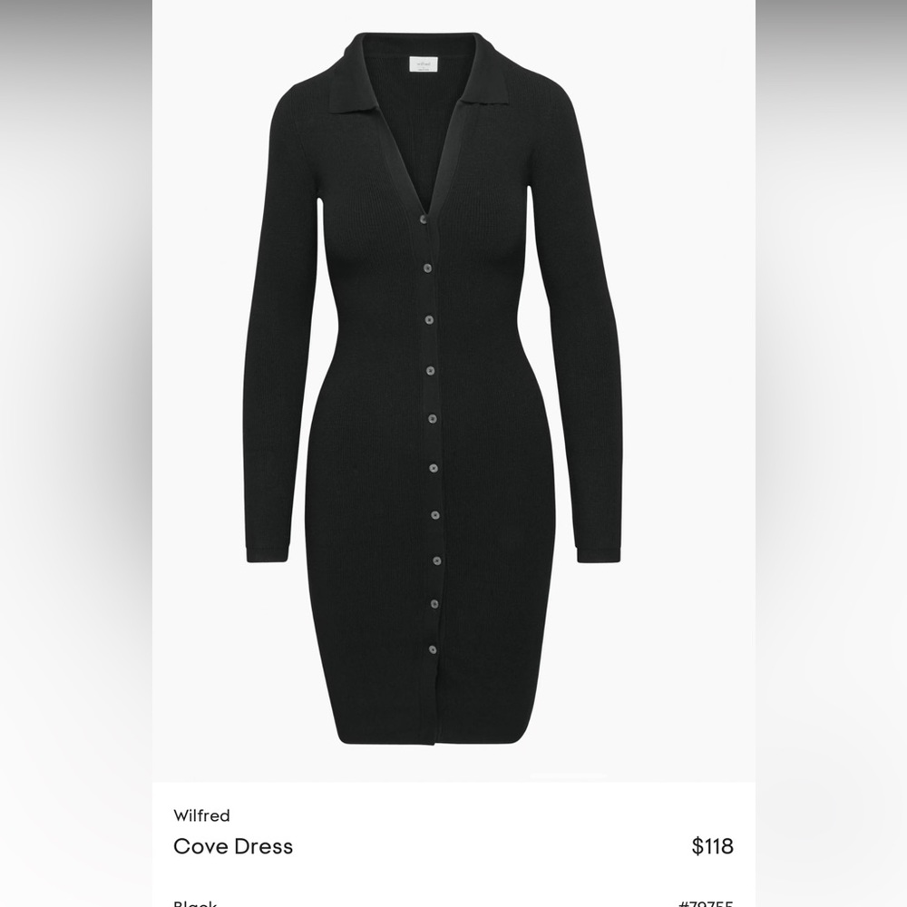 NEVER WORN Aritzia Button Up Dress